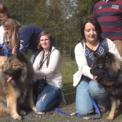 Reuth b. Erbendorf: Eurasier-Treffen - Oberpfalz TV