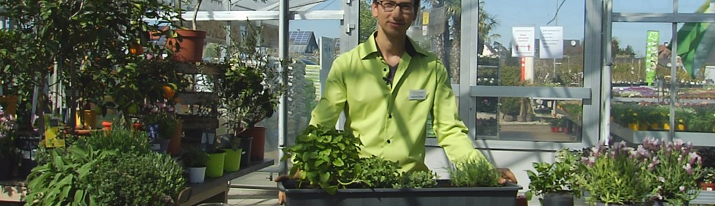 Gartentipp: Frische Kräuter anpflanzen im Frühling | Oberpfalz TV