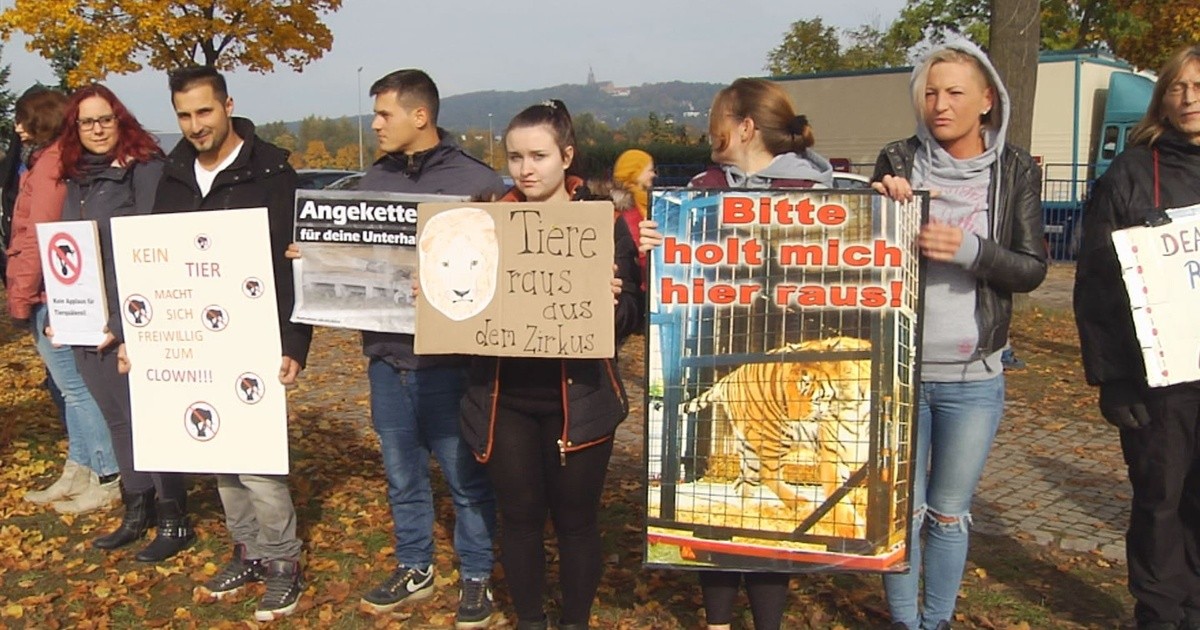 Amberg: Demonstration wegen Tieren im Zirkus - Oberpfalz TV