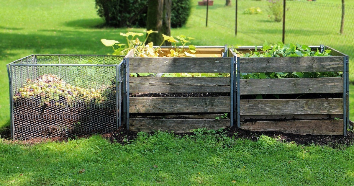 Gartentipp: Den Kompost mit Zucchini und Co. bepflanzen | Oberpfalz TV
