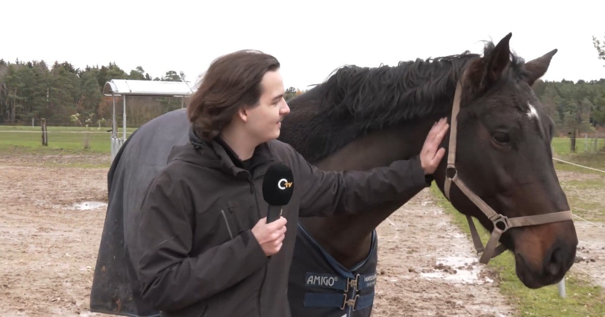 Mein Landkreis Schwandorf: Reit- und Fahrverein Dirnau | Oberpfalz TV