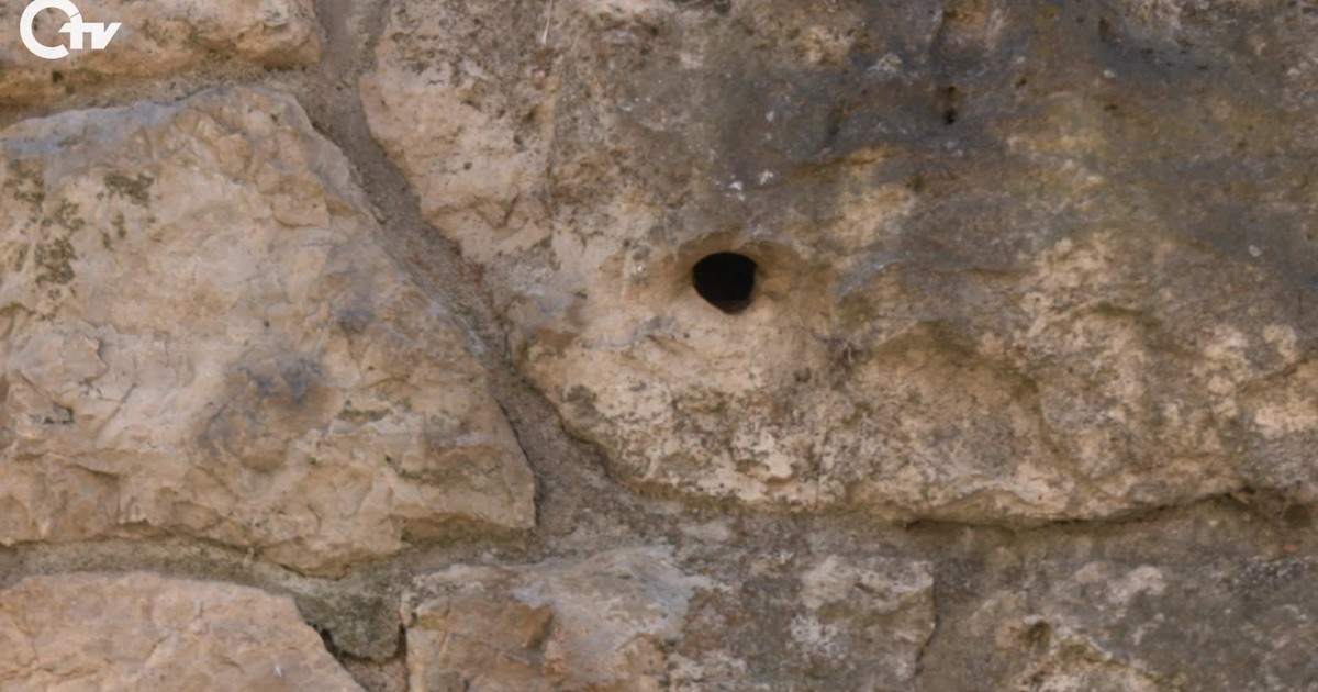 Kletterer bohrt Sicherungen in denkmalgeschützte Brücke | Oberpfalz TV