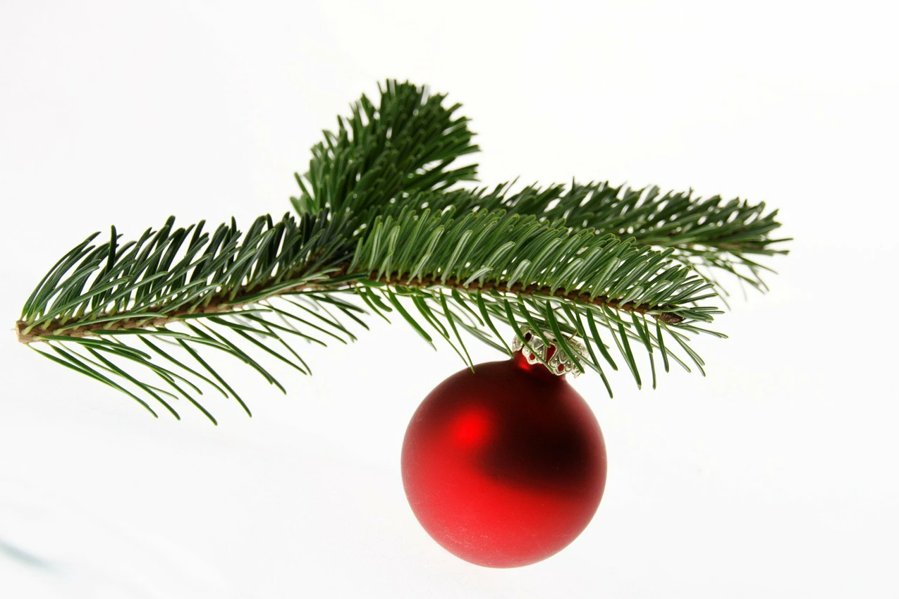 Weihnachten – Das Fest der Liebe
